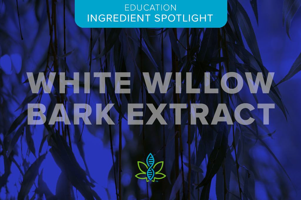 Unveiling the Power of White Willow Bark Extract: Nature’s Aspirin