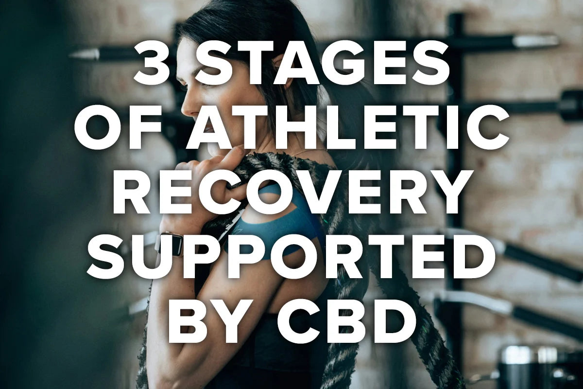 The 3 Stages of Athletic Recovery and How CBD Can Support Each One