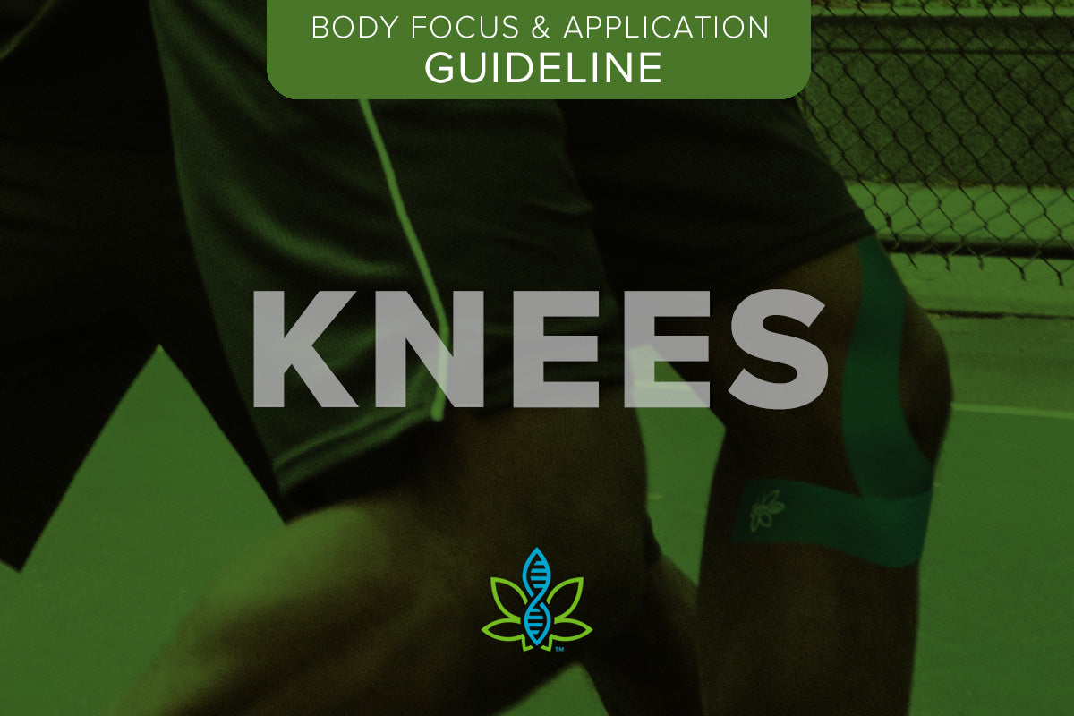 Body Focus –  Knees