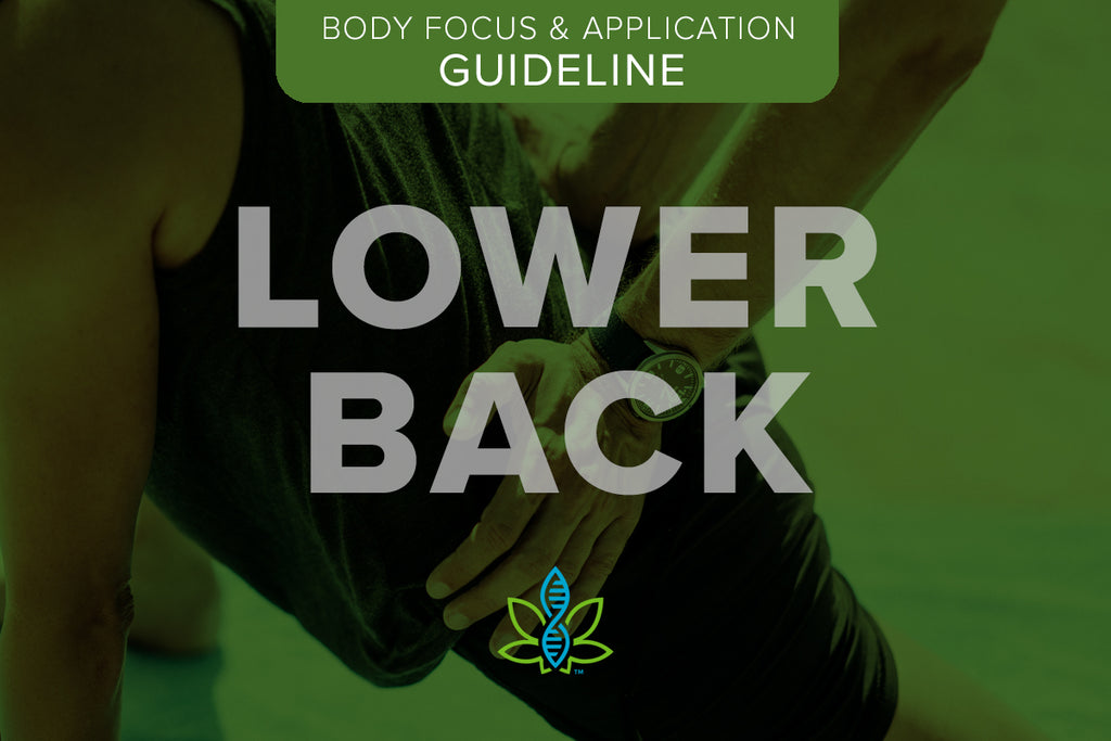 Body Focus – Lower Back – CannaTape Sport