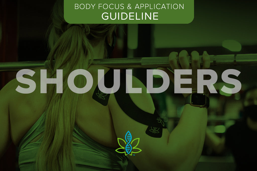 Body Focus – Shoulders
