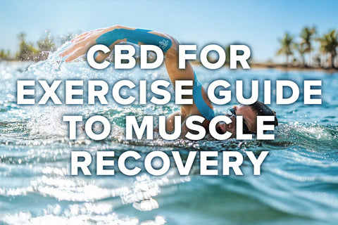 CBD for Exercise: A Guide to Muscle Recovery