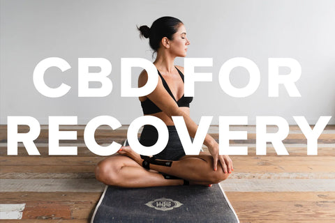 CBD for Recovery: A Beginner's Guide for Athletes