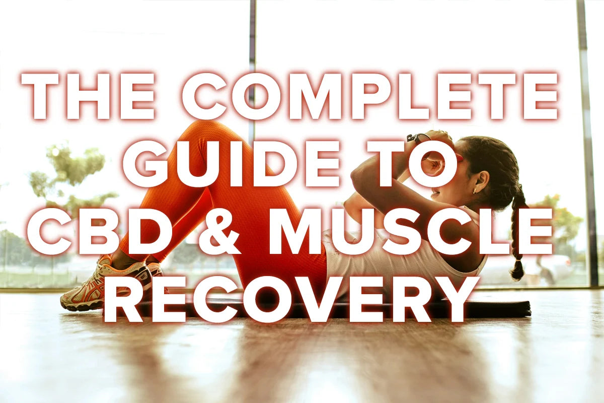 The Athlete's Guide to CBD Muscle Recovery