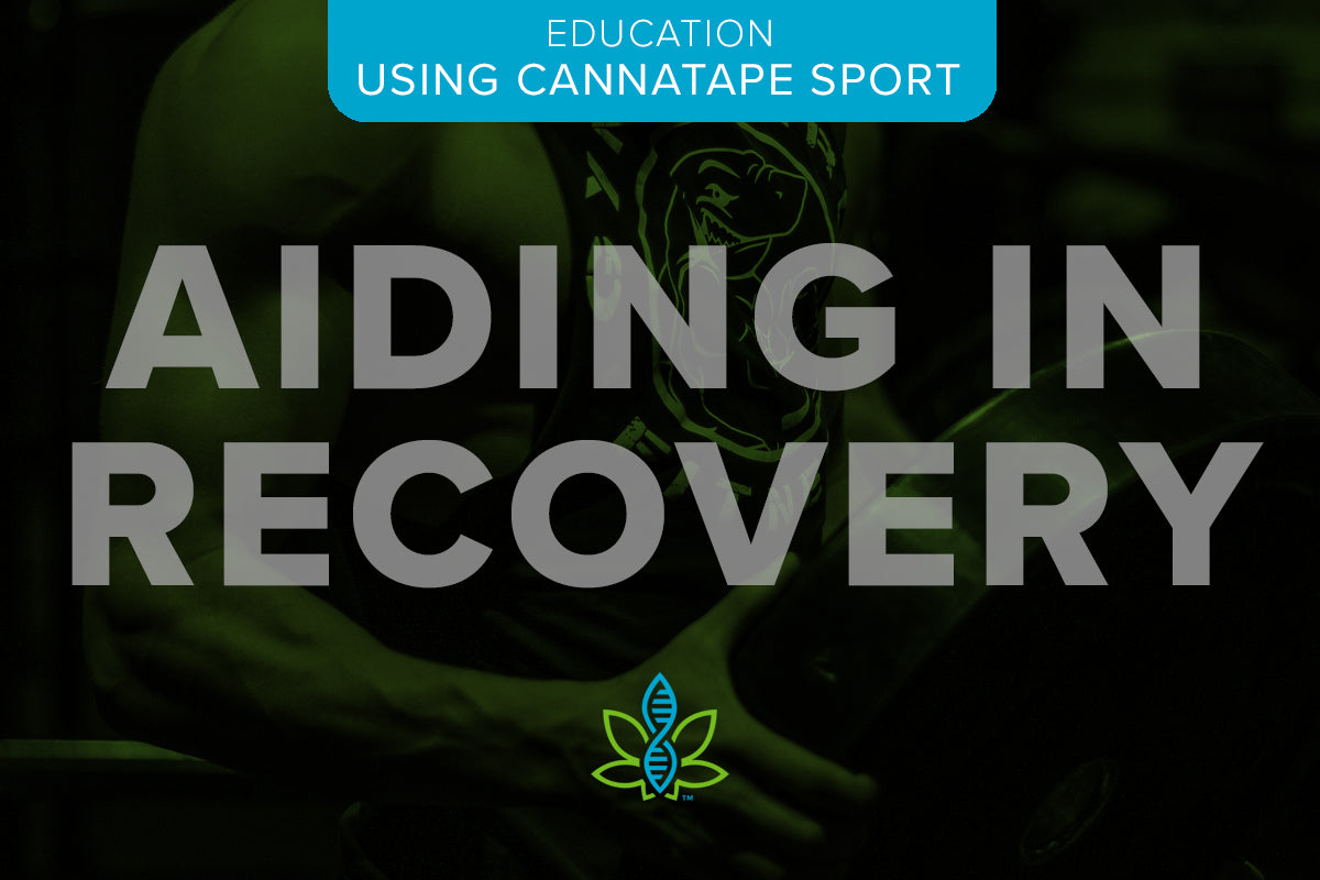 CBD and Recovery for Athletes
