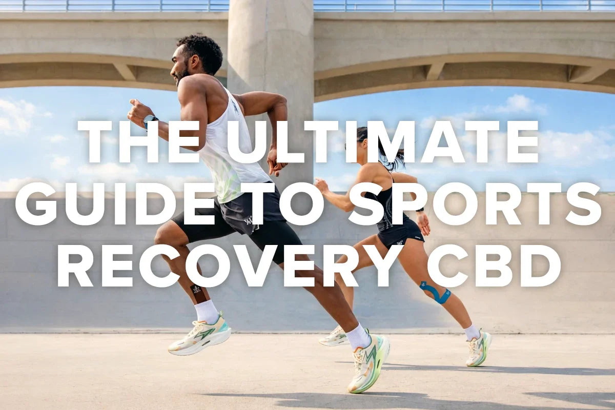 Sports Recovery CBD 101: An Athlete's Guide