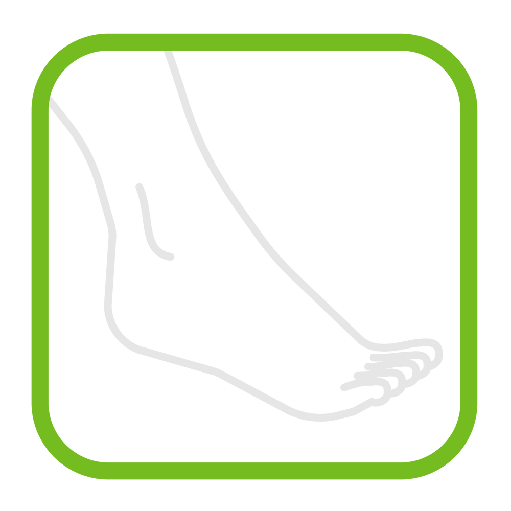 Ankle