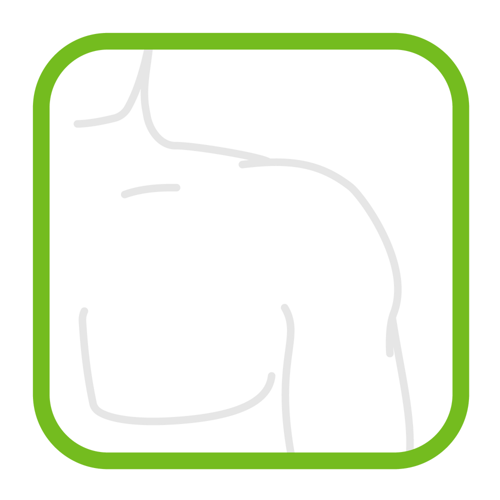 Pectoral