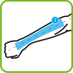 Instruction Image